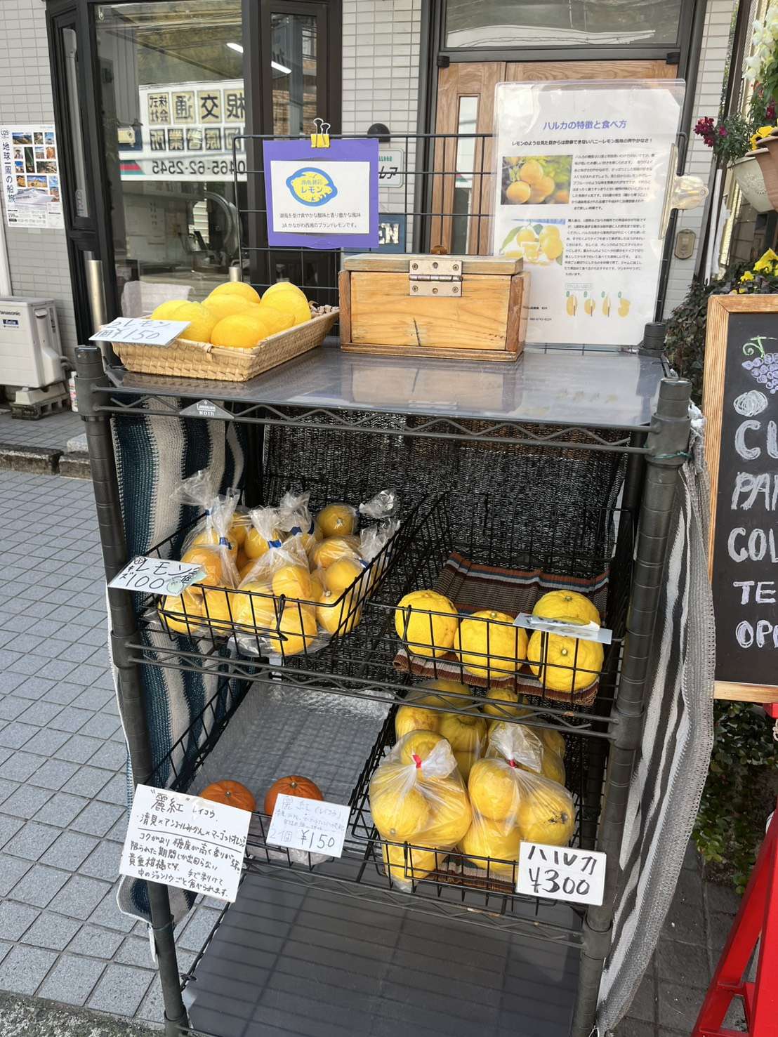 みかん路上販売